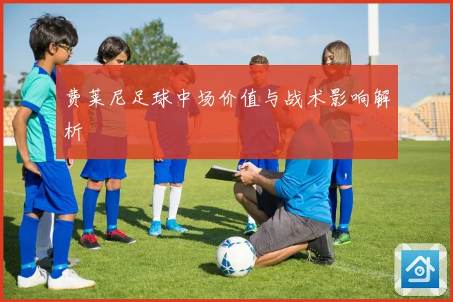费莱尼足球中场价值与战术影响解析