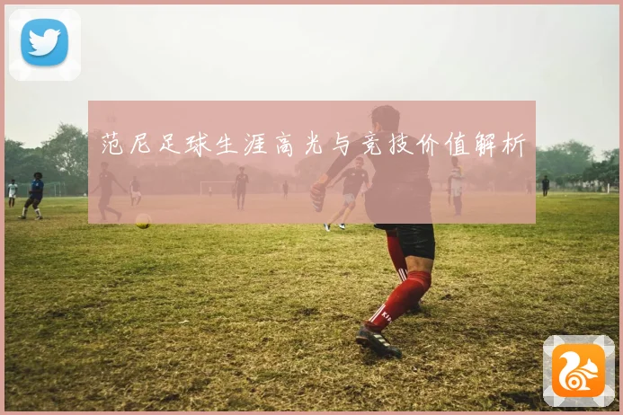 范尼足球生涯高光与竞技价值解析