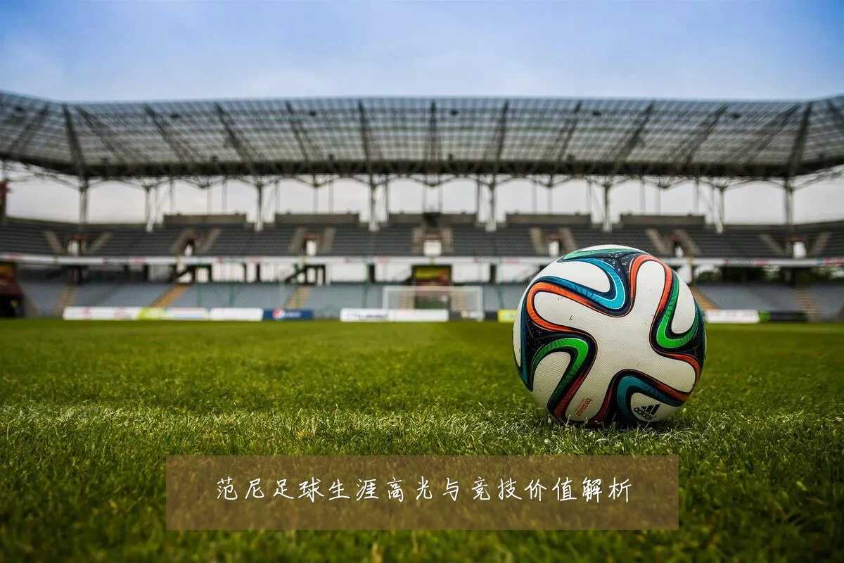 范尼足球生涯高光与竞技价值解析
