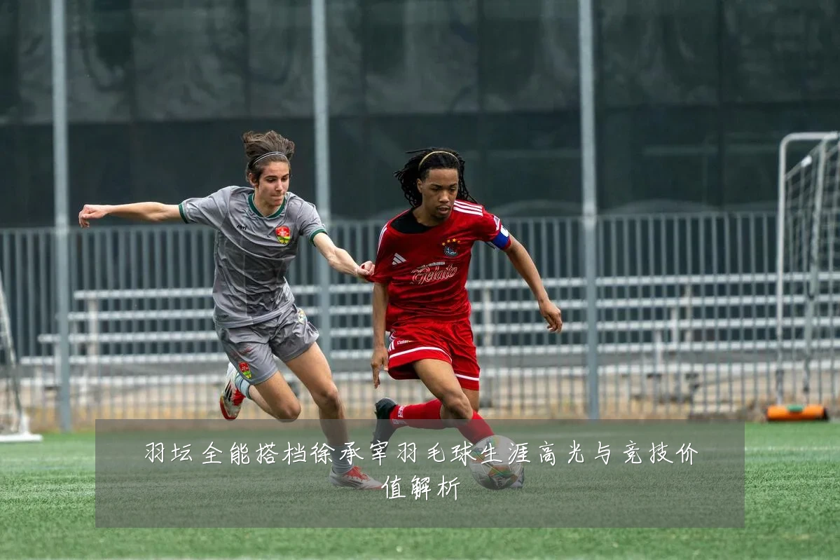 羽坛全能搭档徐承宰羽毛球生涯高光与竞技价值解析